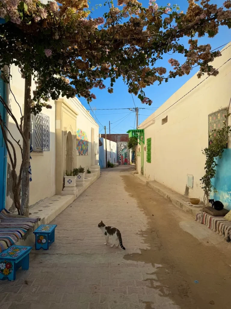 Street with cats and bougainvilea in Erriadh, Djerba. There are blue doors to the right and white washed buildings surrounding