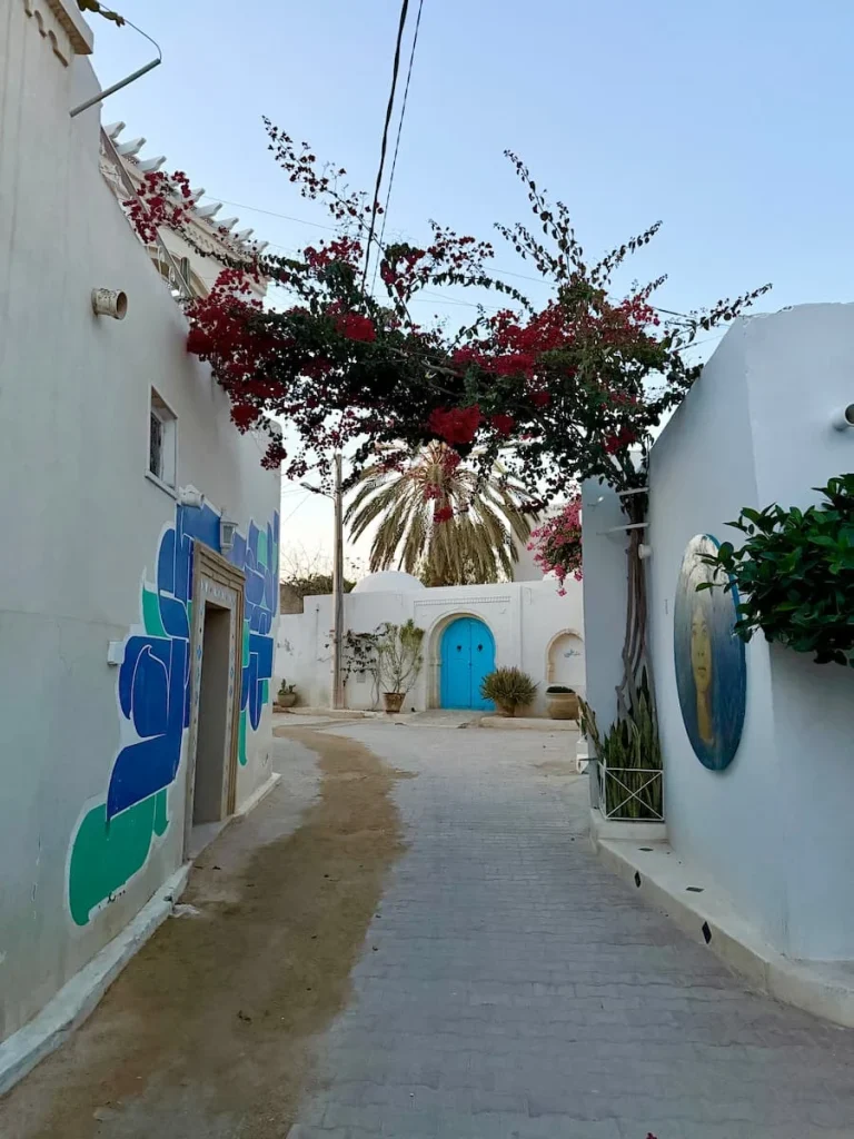 Street with a flower and plant frame in Erriadh, Djerba. There is street art on the walls and pale blue and white washed buildings in the background