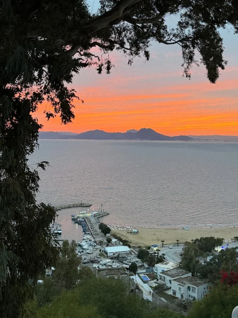 Sunset over the Sidi Bou Marina, Tunisia. The sky is a pink adn ornage colour with teh photo bein framed with foliage