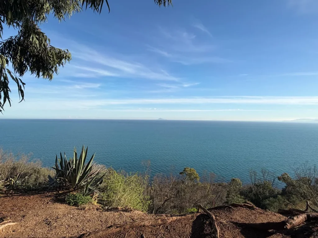 View from Sidi Bou Cemetery looking out to Sicily. The sea is bright blue and green with the image being framed by the sand and bushes, Sidi Bou Said, Tunisia