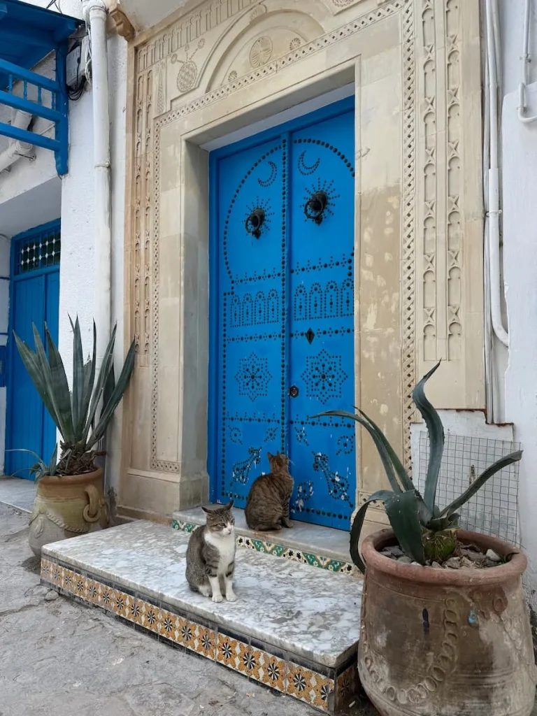 Blue studded door with cats in Hammamet Medina and aloe vera potted plants at eitehr side.