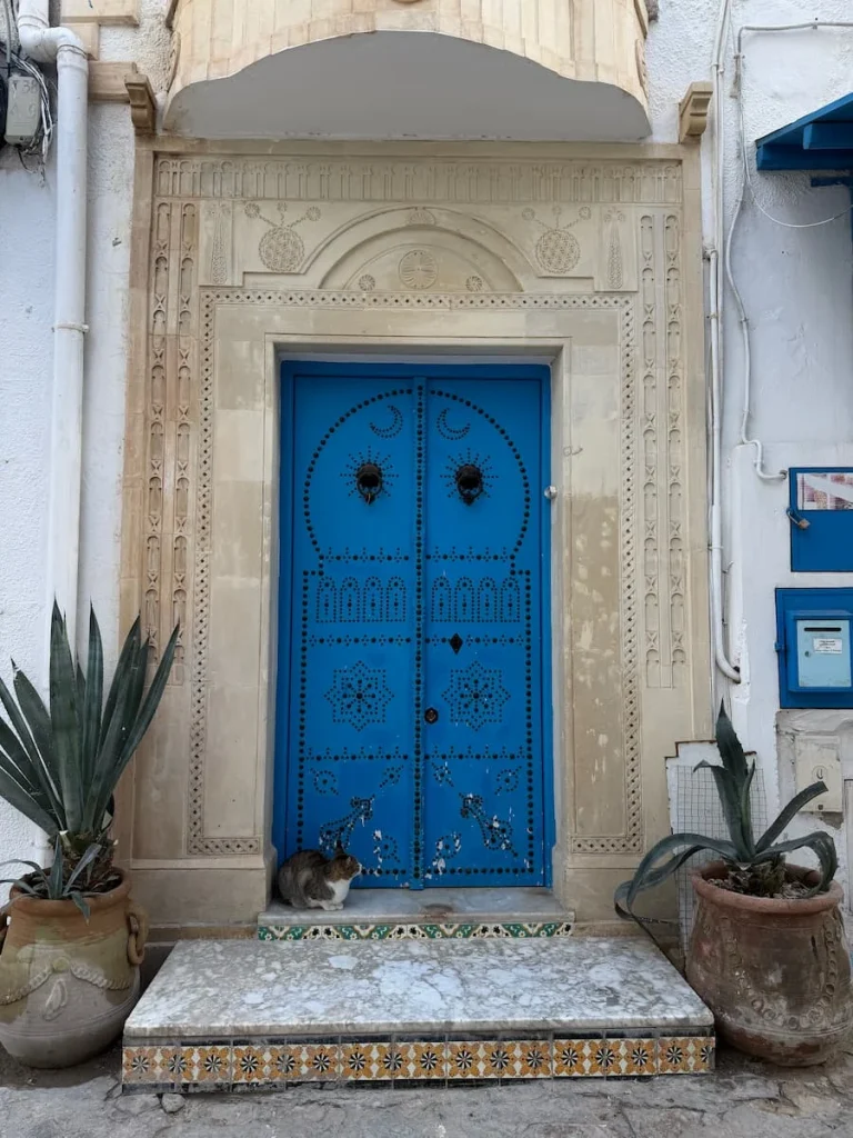 Studded Blue door with cat  and plants at either sidein Hammamet Medina