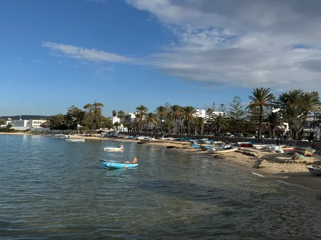Hammamet plage with fishing boats and in the background and the beach is lined with palm trres