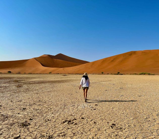 Best visit Sossusvlei: Big daddy dune from the base with standing in front
